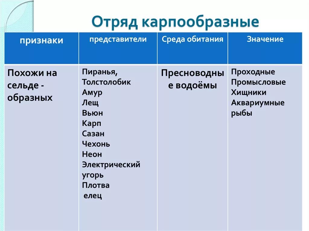 Особенности карпообразных. Отряд Карпообразные признаки отряда. Систематика отряда карпообразных. Признаки отряда Карпообразные. Отряд Карпообразные особенности строения.