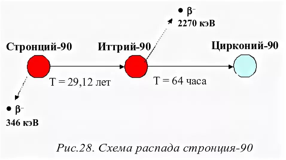 Цезий 137 период полураспада сколько. Радиоактивный распад стронция. Период полураспада стронция 90. Схема распада стронция-90. Цепочка распада стронция 90.