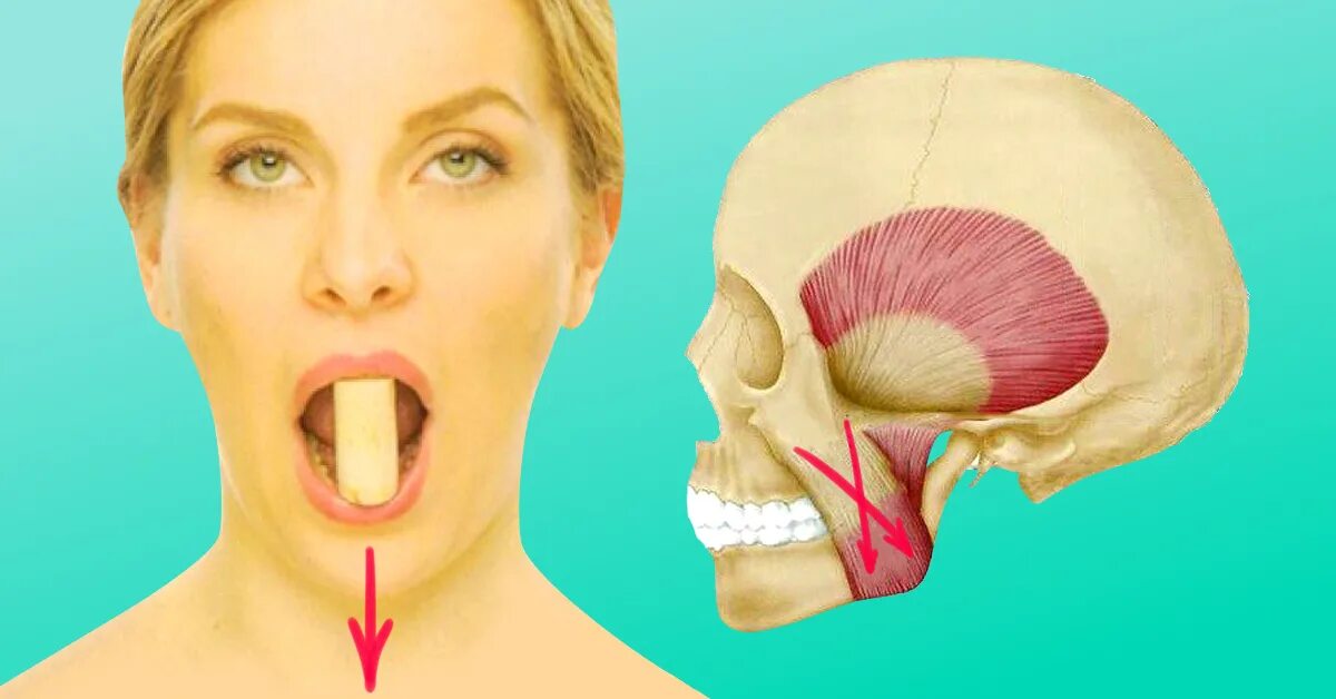 упражнения для мышц лба. расслабление жевательных мышц лица. гипертонус жевательных мышц. расслабление скуловой мышцы. мышечно суставная дисфункция внчс.