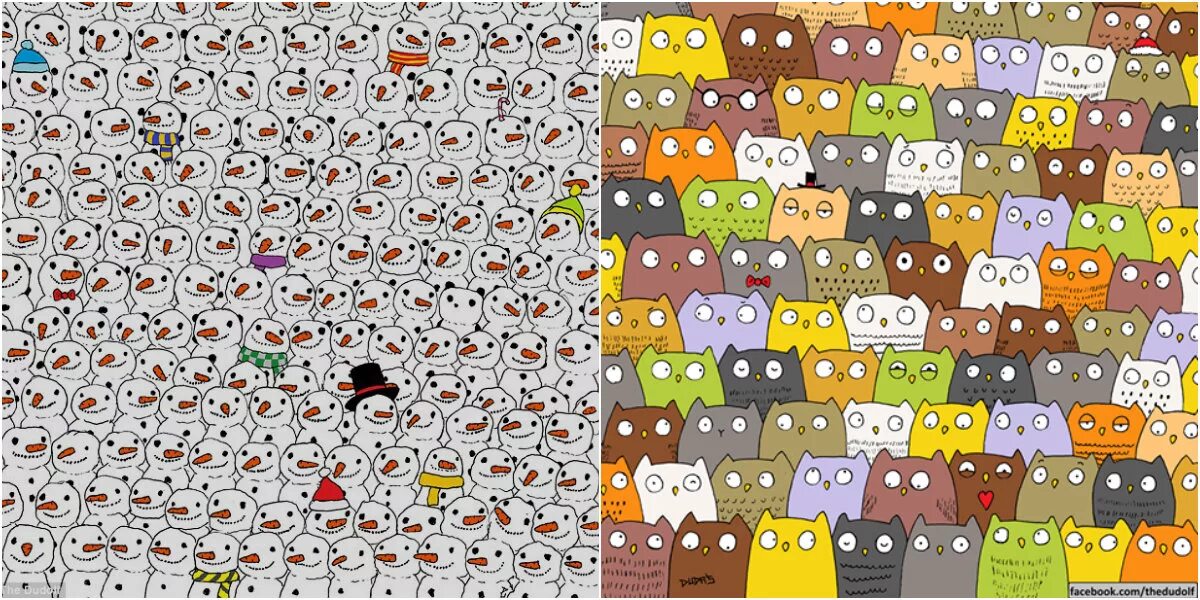 Среди котов. Код найди кот. Найди кролика среди котов. Найди кота. Найди среди котов.