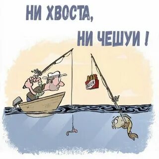 Выходи и лови
