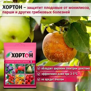 Препараты от плодовой