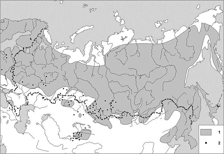 Летяга ареал обитания. Ареал белок. Лесная куница ареал обитания. Ареал обитания белки обыкновенной. Белка обыкновенная ареал обитания.