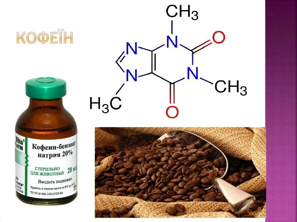 Кофеин в ветеринарии. Кофеин. Синтез кофеина. Кофеин бензоат натрия формула химическая. Получение кофеина.