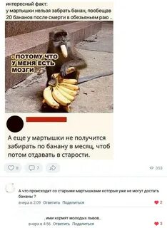Обезьянам нельзя