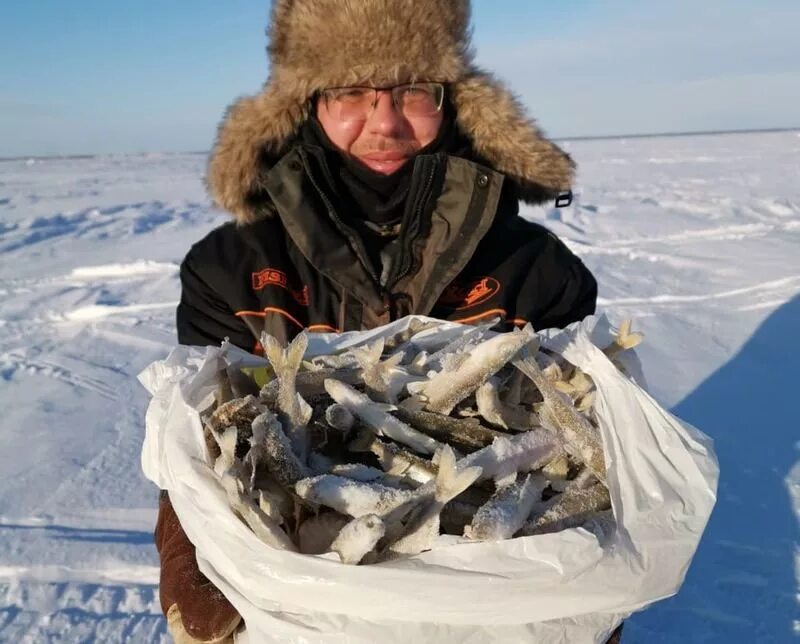 Как ловить на белом море. Зимняя рыбалка на белом море. карелия зимой рыбалка. корюшка зимой. рыбалка на корюшку.