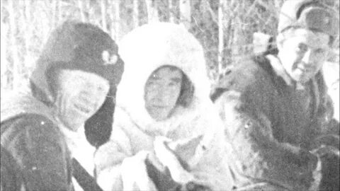 Группа коровиной 1993