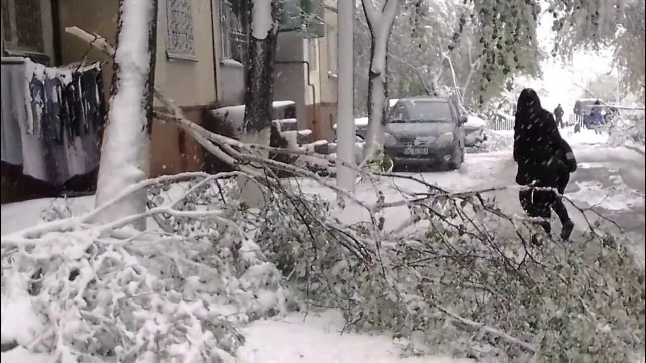 Видео 20 апреля. Снегопад Кишинев 2017. Снегопад в Кишиневе 2017 апрель. Снег в апреле в Кишинёве. Снег в Молдавии.