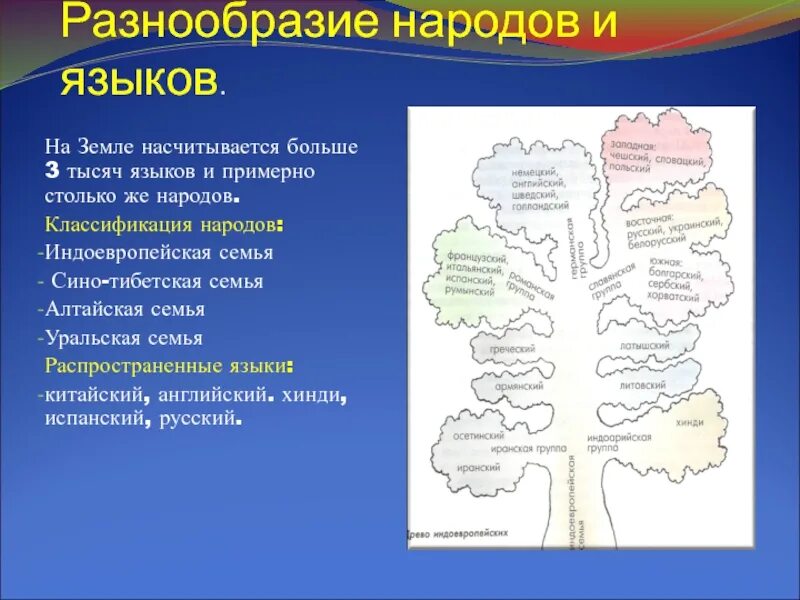 Языки народов москвы. Язык народа. Китайско тибетская семья языков. Языки народов москвы. Языки народов москвы.