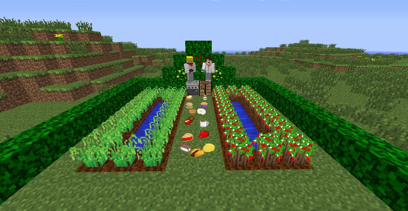 2. 1. Мод на овощи. 16. 12.