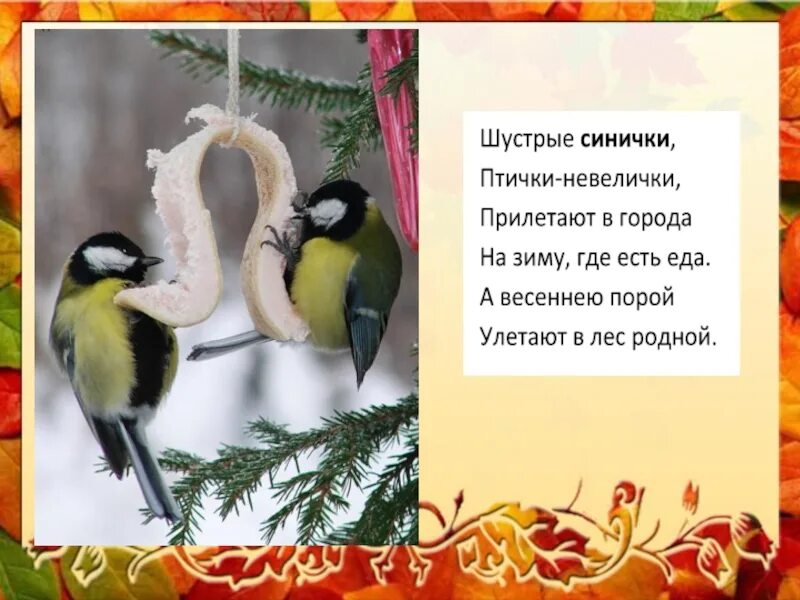 Синичкин день стишок. День встречи зимующих птиц синичкин день. Покорми синицу зимой вспомнит тебя. Синичкин день стишок. 12 ноября синичкин день день встречи зимующих птиц.