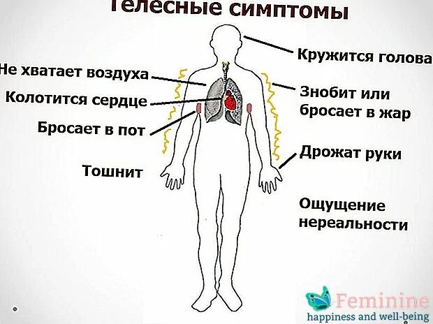 Почему сильно бьется сердце и трясет. Бросает в жар без температуры. бросает в жар сердце колотится. резко бросает в пот. слабость и бросает в жар.