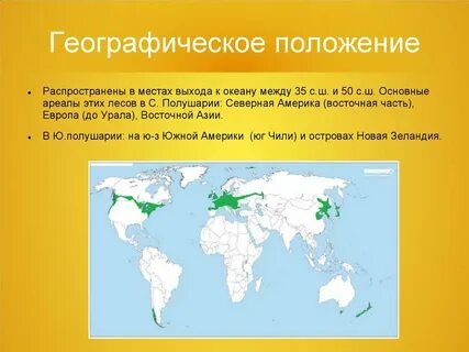 На каком материке находятся смешанные леса