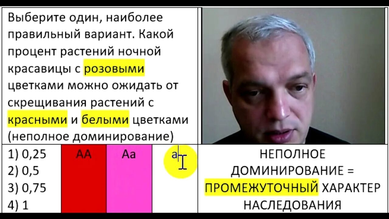 Какой процент ночной красавицы с розовыми цветками. Какой процент растений ночной красавицы.