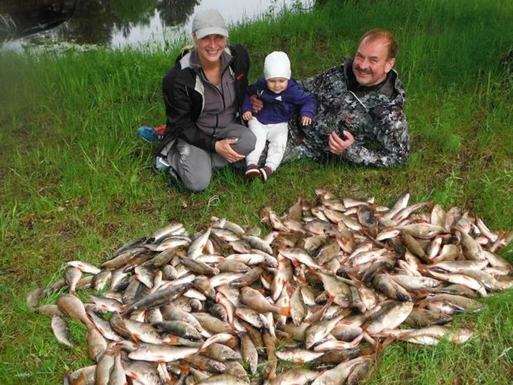 Ловим рыбу в ярославской области