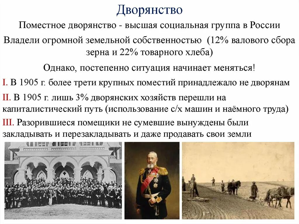 Жизнь поместного дворянства ростовы. Социальные группы дворяне. Поместное дворянство. Дворяне (поместное дворянство). Поместное дворянство в начале 20 века.