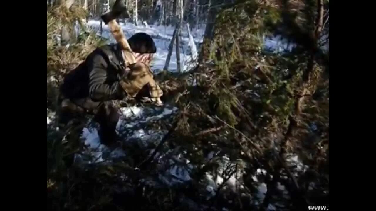 Зэки в тайге. Лесорубы в тайге.