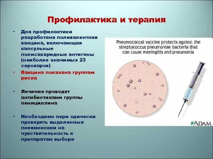 Профилактические вакцины микробиология. Вакцина профилактика и вакцина терапия. Вакцины : профилактические, лечебные микробиология. Прививки для микробиологов.