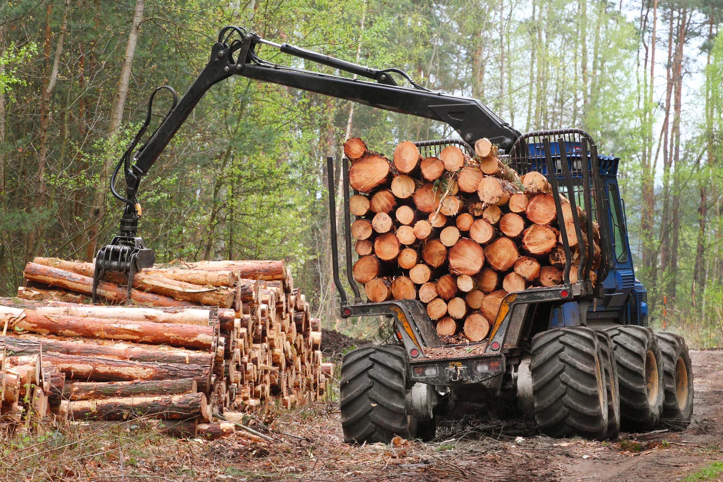 Logging trap