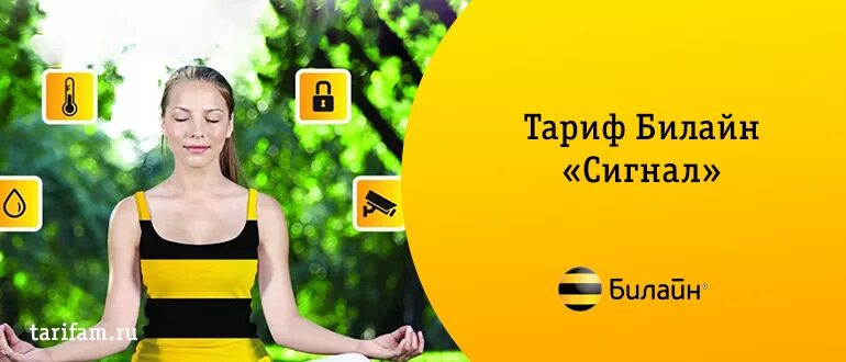 Услуга привет билайн. Билайн гудки звонок. Билайн домашний интернет. Как отключить мелодию на звонке билайн. Песня билайн.
