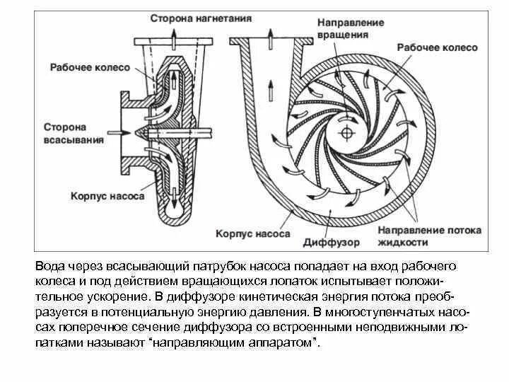 Диаметр всасывающего патрубка насоса. Всасывающий патрубок насоса. диаметр входа в рабочее колесо. приведенный диаметр входа в рабочее колесо. направление нагнетание.