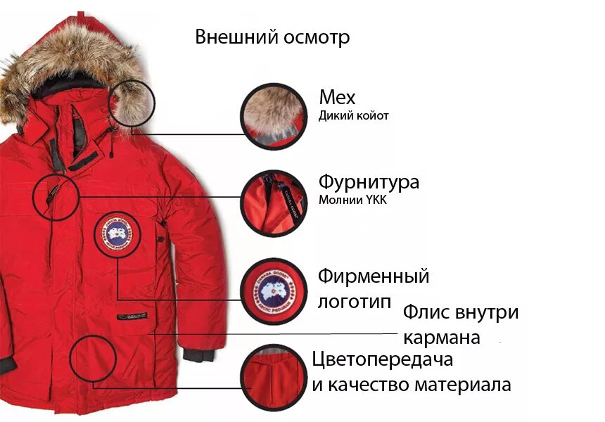 Где стоит куртка. Canada goose отличие оригинала. Мембрана куртка. Где стоит куртка. Стирка курток на синтепоне.