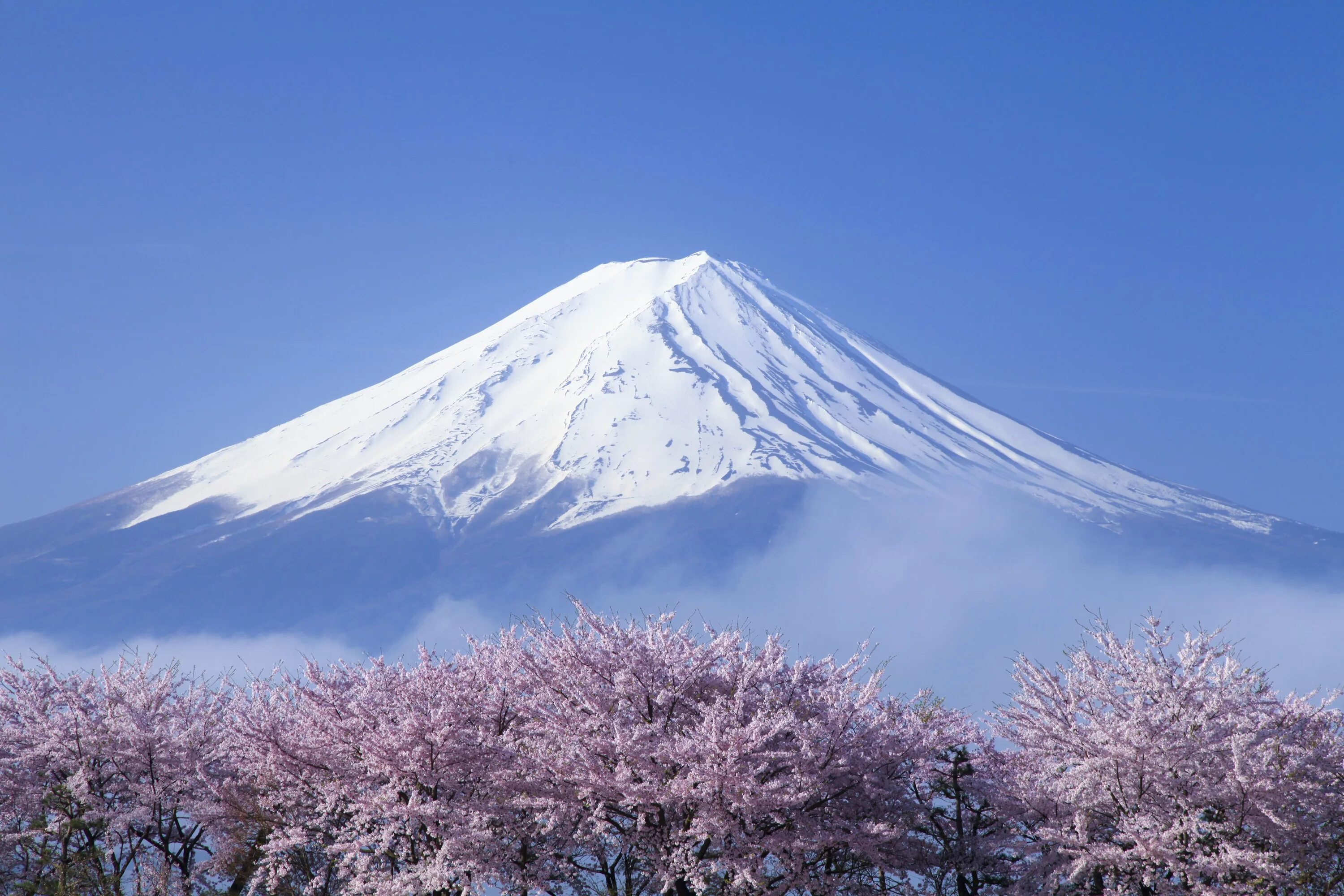 Гора Фудзияма в Японии. Гора Фудзи в Японии. Гора Фудзи (остров Хонсю). Храм на вулкане Фудзияма.
