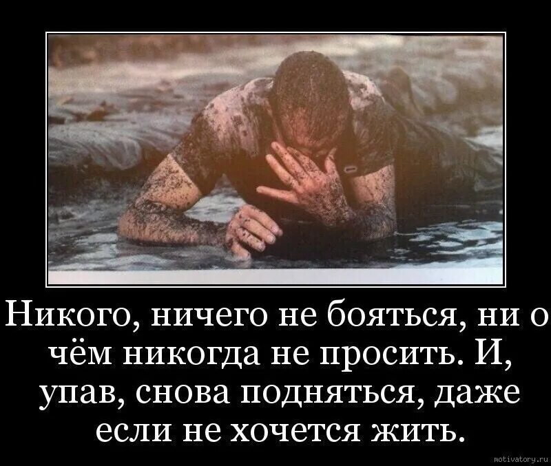 Никто сама. Падай и поднимайся покуда жив. Однажды человек спросил у Бога о падении. Упал поднялся. Падать и подниматься цитаты.