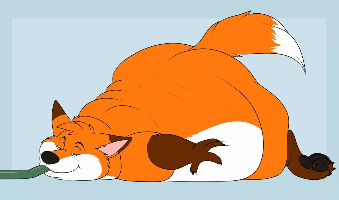 Inflation лиса. Белли Фокс инфлатион. Fox belly inflation. Fat belly Fox.