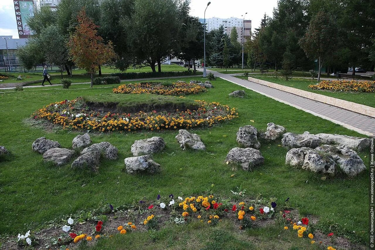 Погулять зеленограде. Народный парк живые камни Зеленоград. Парк живые камни в Зеленограде. Сквер в Зеленограде. Зеленоград лесопарк.