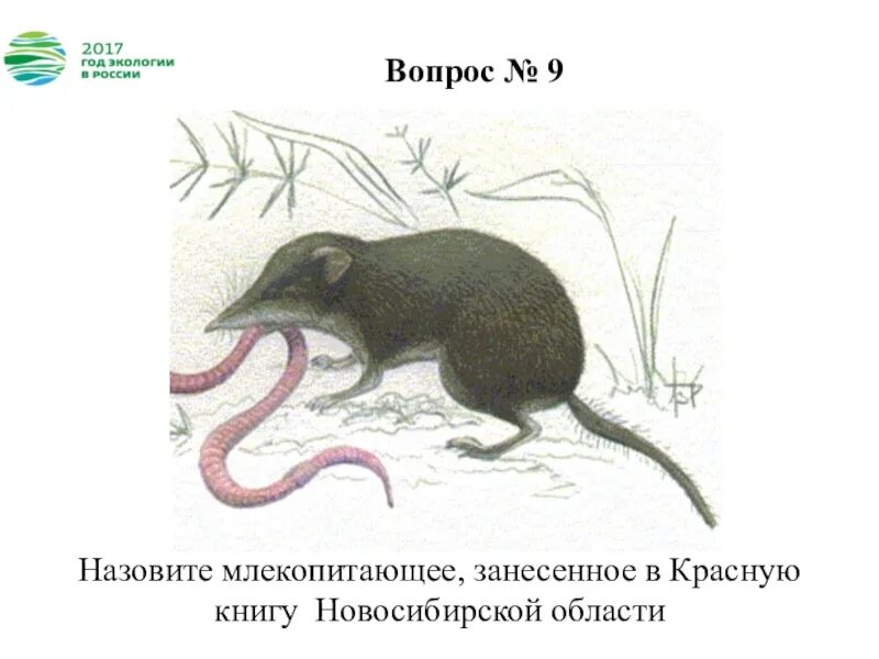 Млекопитающие занесенные в красную книгу
