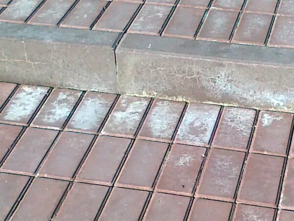 Высолы на плитке. Белый налет на тротуарной плитке. Белый налет на тротуарной плитке. Белый налет на тротуарной плитке. Белый налет на тротуарной плитке.
