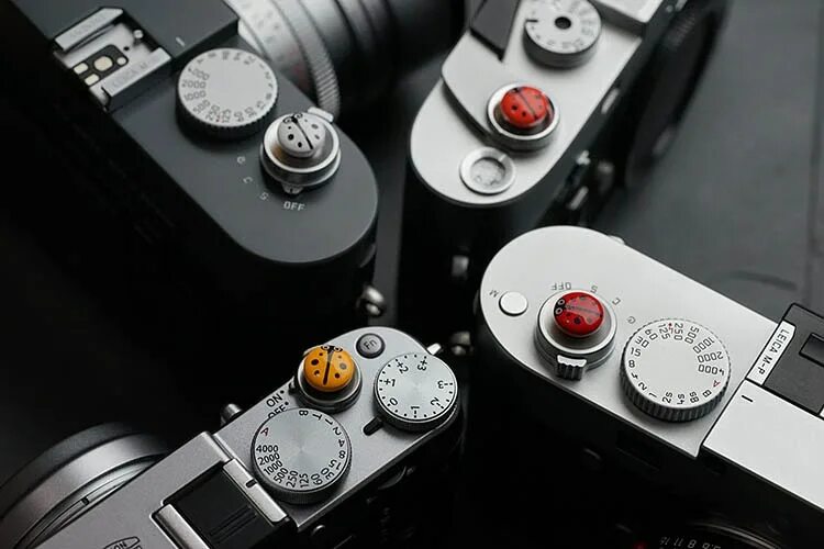 Кнопка спуска затвора fujifilm. Кнопка спуска fujifilm. Мягкая кнопка. Спусковая кнопка для фотоаппарата. Кнопки вогнутые.