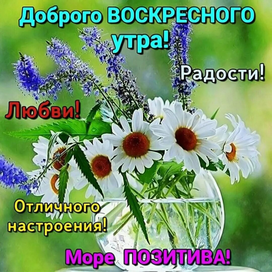 Служба воскресного дня. Открытки с добрым воскресным утром. Пожелания с добрым воскресным утром. Доброе воскресноеесное у РО. Поздравления с хорошим утром.