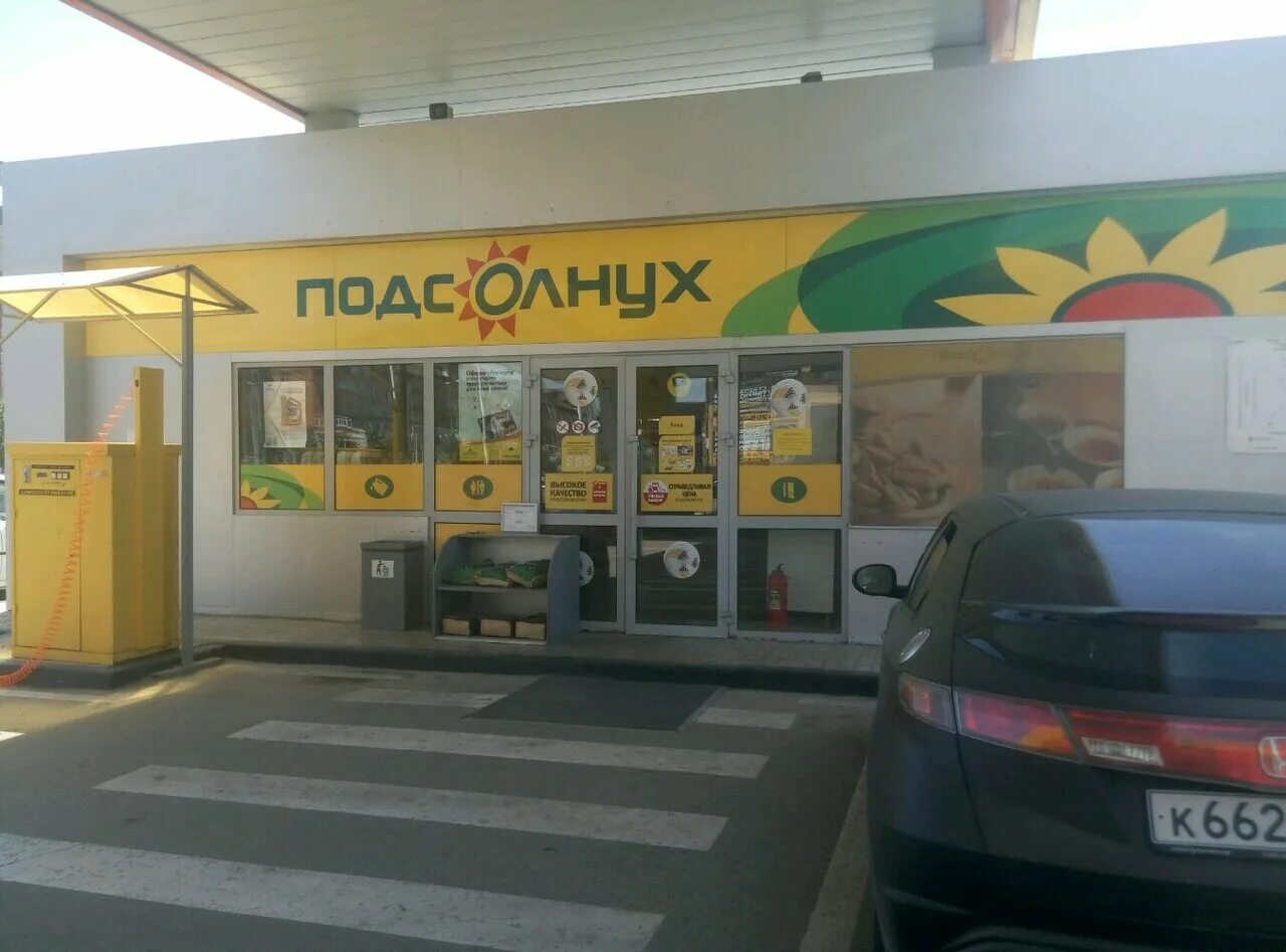 подсолнухи наро-фоминск. подсолнух щербинка. железнодорожная 39 щербинка. подсолнух щербинка. подсолнечник остролистный.