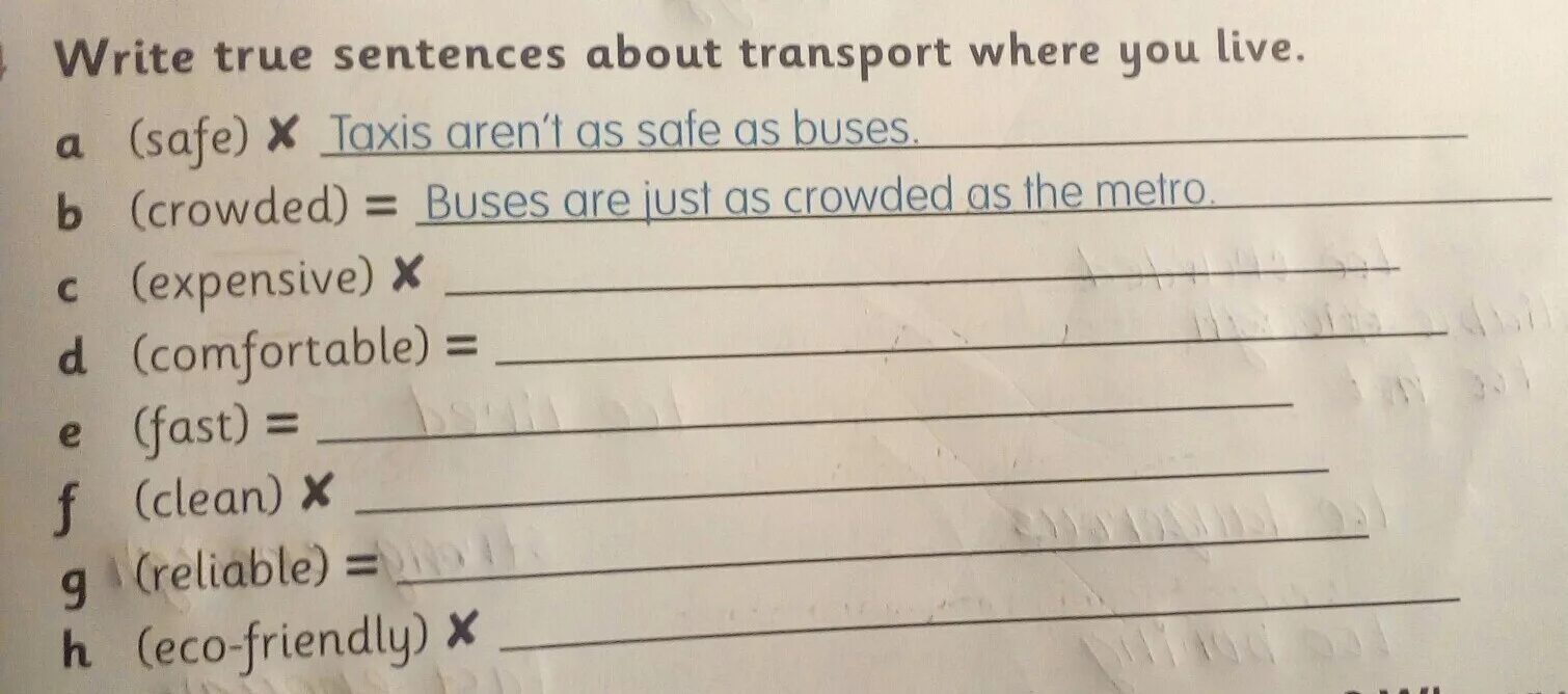 True перевод с английского. Write sentences. True sentences. True перевод. Задание по английскому языку 5 класс write true sentences.