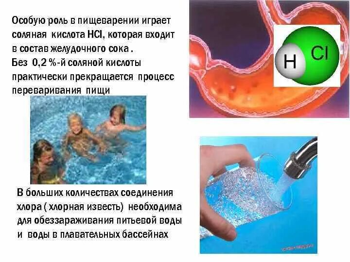 Какую роль играет соляная кислота в пищеварении. Роль соляной кислоты в пищеварении. роль соляной кислоты в пищеварении белков. роль соляной кислоты в процессе пищеварения. роль соляной кислоты в переваривании.