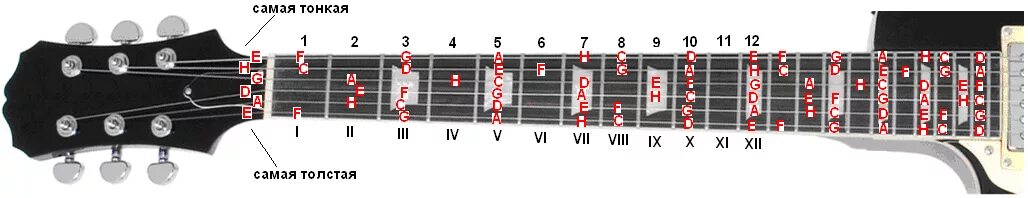 Ноты на грифе 6 струнной бас гитары. Расположение нот на грифе электрогитары 6 струн. Точки на грифе акустической гитары сбоку. Лады на 6 струнной гитаре. 4 струна гитары нота