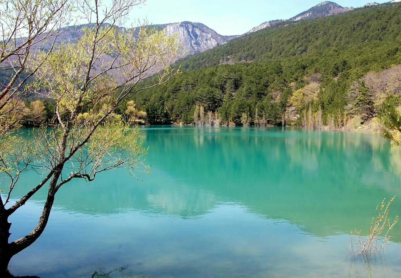 Голубое озеро Запрудное Алушта. Бирюзовое озеро в селе Запрудное. Мильян голь озеро в Крыму. Бирюзовое озеро Кореиз в Крыму.