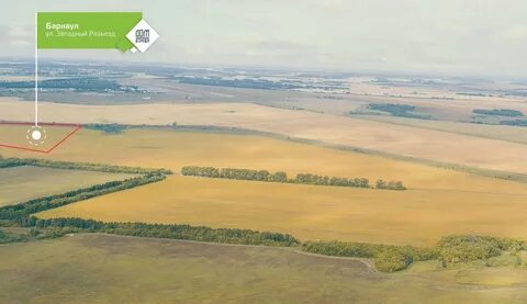 15 гектаров