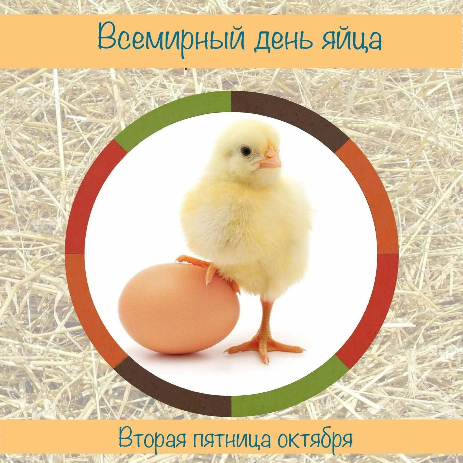 Пин на доске Дата, праздники Праздник, Писко, Картинки