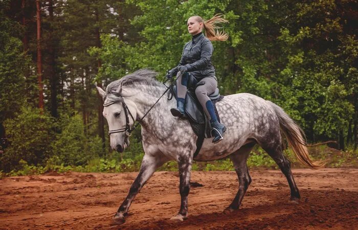Pretty horse and sidesaddle habit. Horse riding outfit, Equestrian outfits, Hors