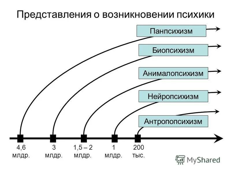современные представления о психическом