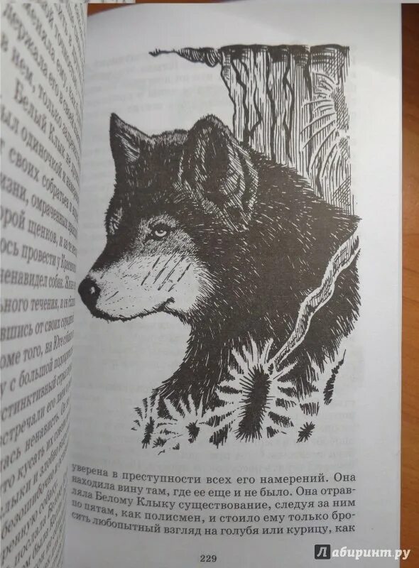 Джек лондон белое безмолвие книга. Белое безмолвие книга. Рисунок к роману белое безмолвие джек лондон. Джек лондон "белое безмолвие". Джек лондон "белое безмолвие".