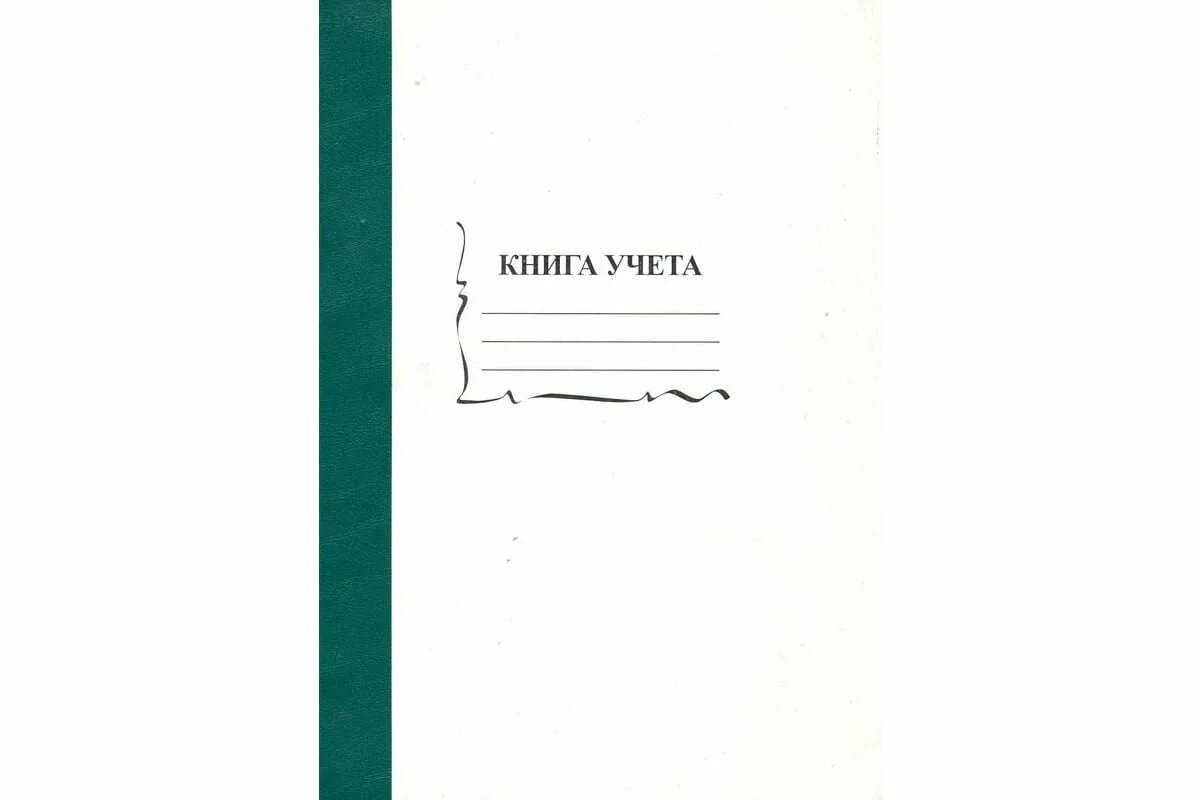 Книга учета формат а4. Бухгалтерская книга. книга учета пустографка. книга учета 96 л. бухгалтерия книга.