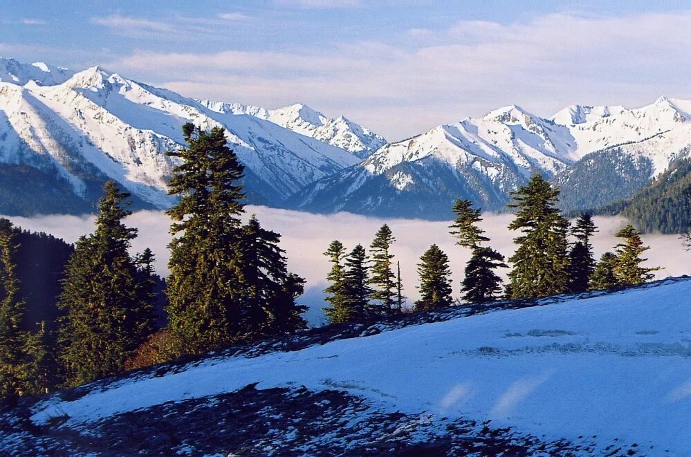 плато лагонаки адыгея зима. теснина лаго наки. хаджохская теснина зимой. лаго-наки в адыгее зимой. лаго-наки туристическая база зимой.