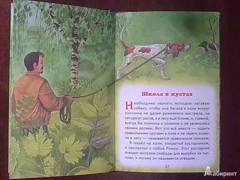 Мальчик прячется за деревом. Маленький принц баобабы. Девочка покакала в кустах. Девочка за кустом. Маленькая в кустах рассказ.