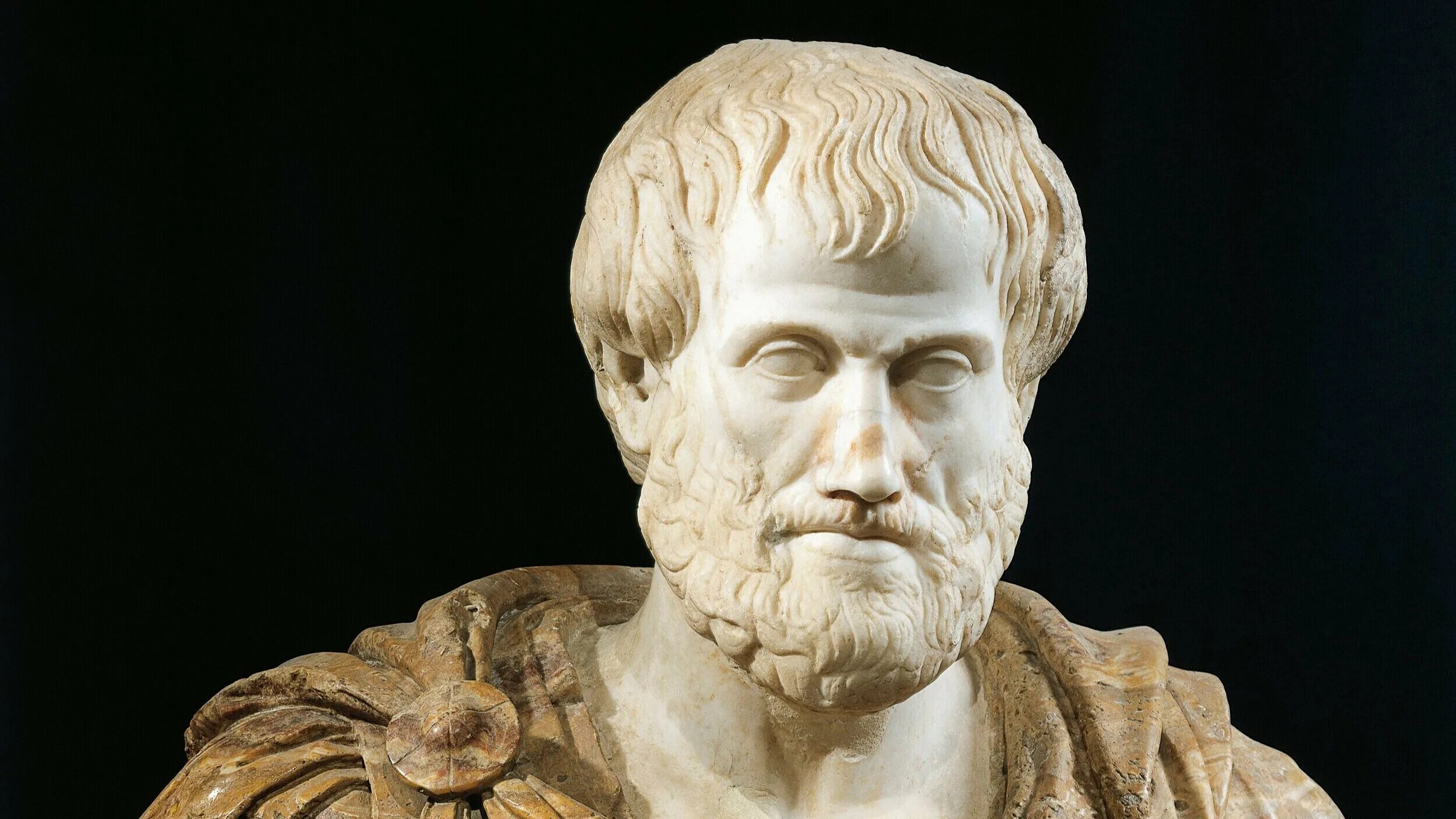 Аристотель греческий философ. Аристотель стагирит. Аристотель бюст.