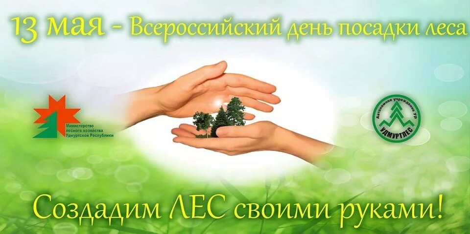 14 мая день посадки деревьев. День посадки леса. 18 мая всероссийский день посадки леса. День леса в мае. День посадки леса 2022.