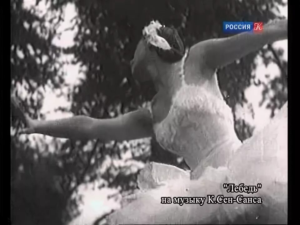 Майя плисецкая лебедь видео. Майя плисецкая дача в литве. дача майи плисецкой в снегирях. дача майи плисецкой в подмосковных.